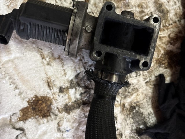 Opel Zafira B Egr szelep Használt Z19DTh